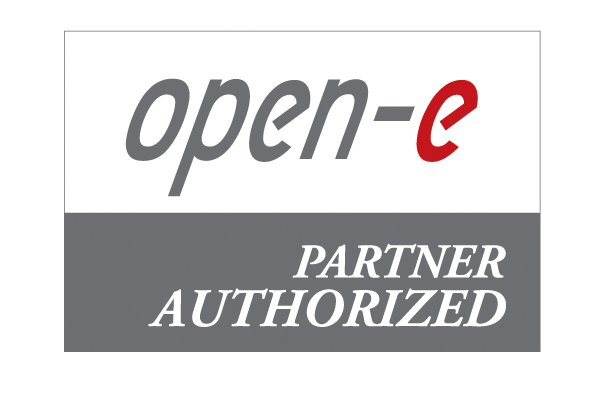 Open-e Gold Partner, Logo